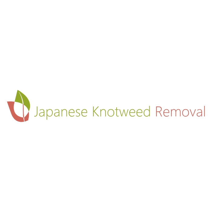 Japanese Knotweed Removal UK How To Eradicate Knotweed   Social 